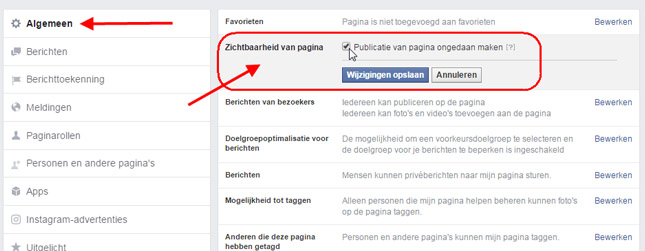 pagina offline facebook