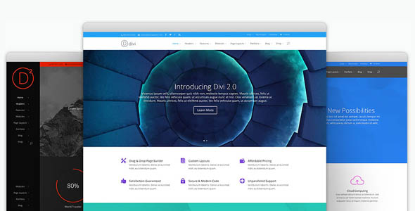 divi wordpress