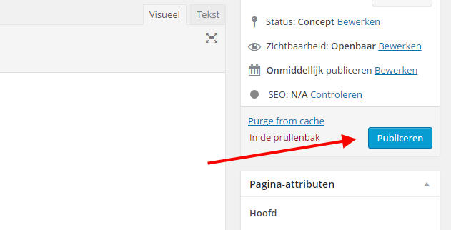 pagina publiceren wordpress